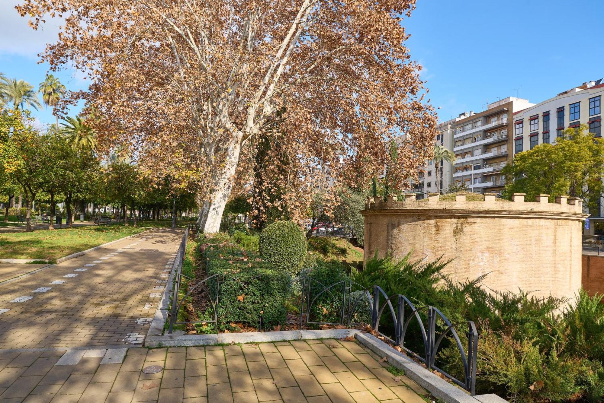 Apartamento Centro Córdoba Buitenkant foto